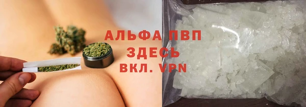 гидра Баксан