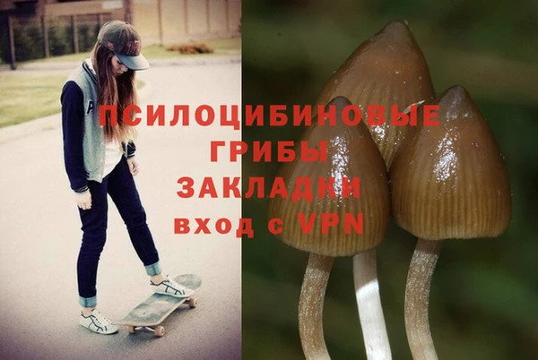 гидра Баксан
