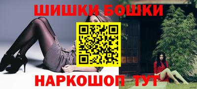 мдпв Обь