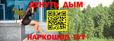 мдпв Обь